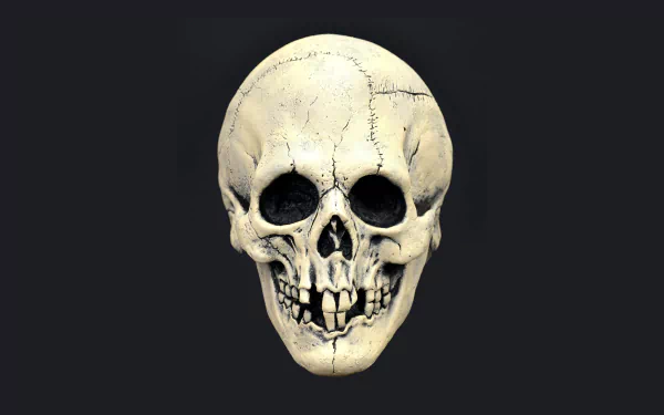 dark skull HD Desktop Wallpaper | Background Image