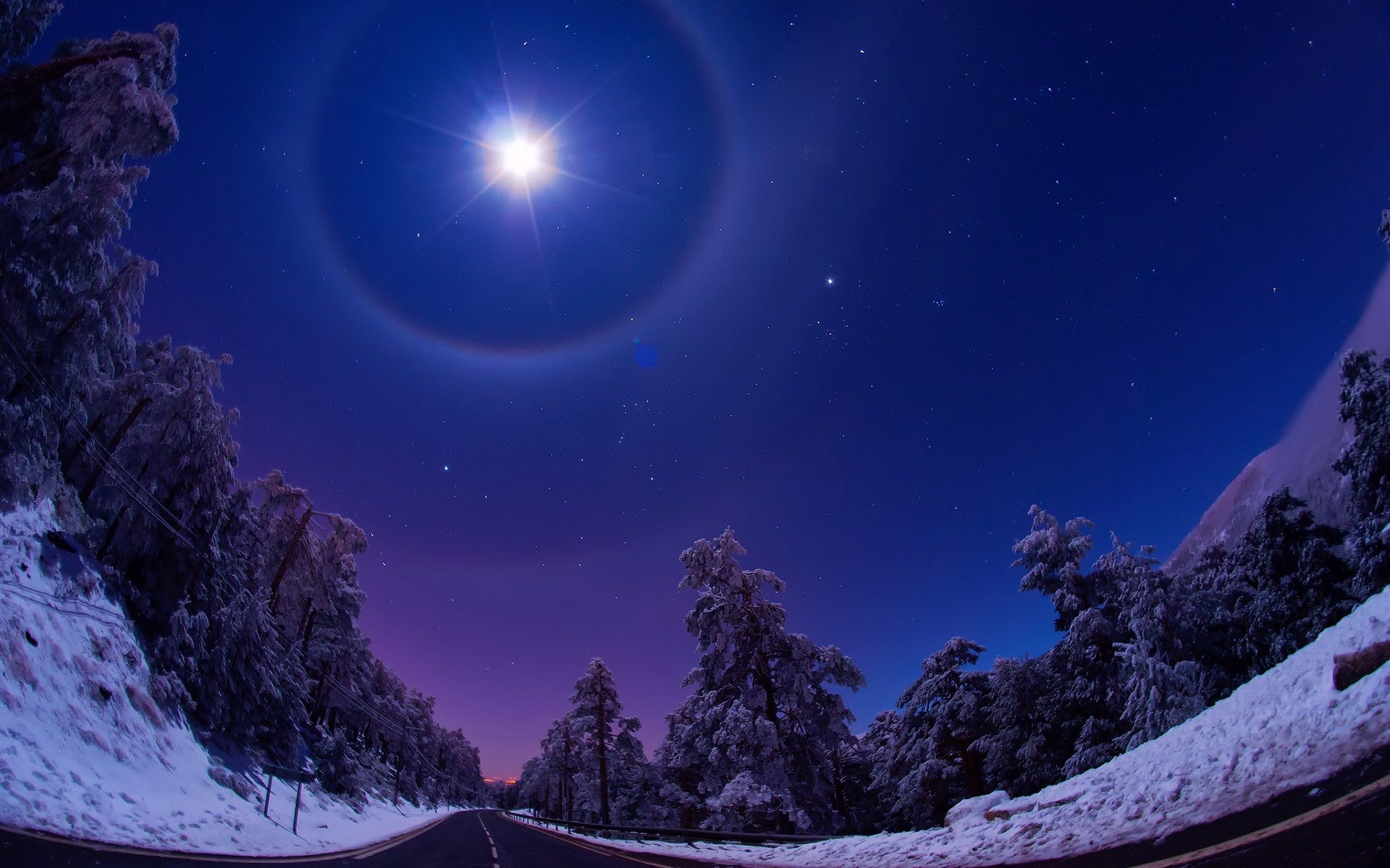 A serene winter landscape features snow-covered trees under a starry sky, illuminated by a glowing moon and a halo. This HD image captures the beauty of nature in winter.