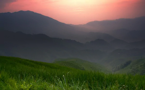 4K Ultra HD wallpaper of the Himalaya mountains at sunrise, featuring layered peaks and lush green foreground under a soft pink sky.