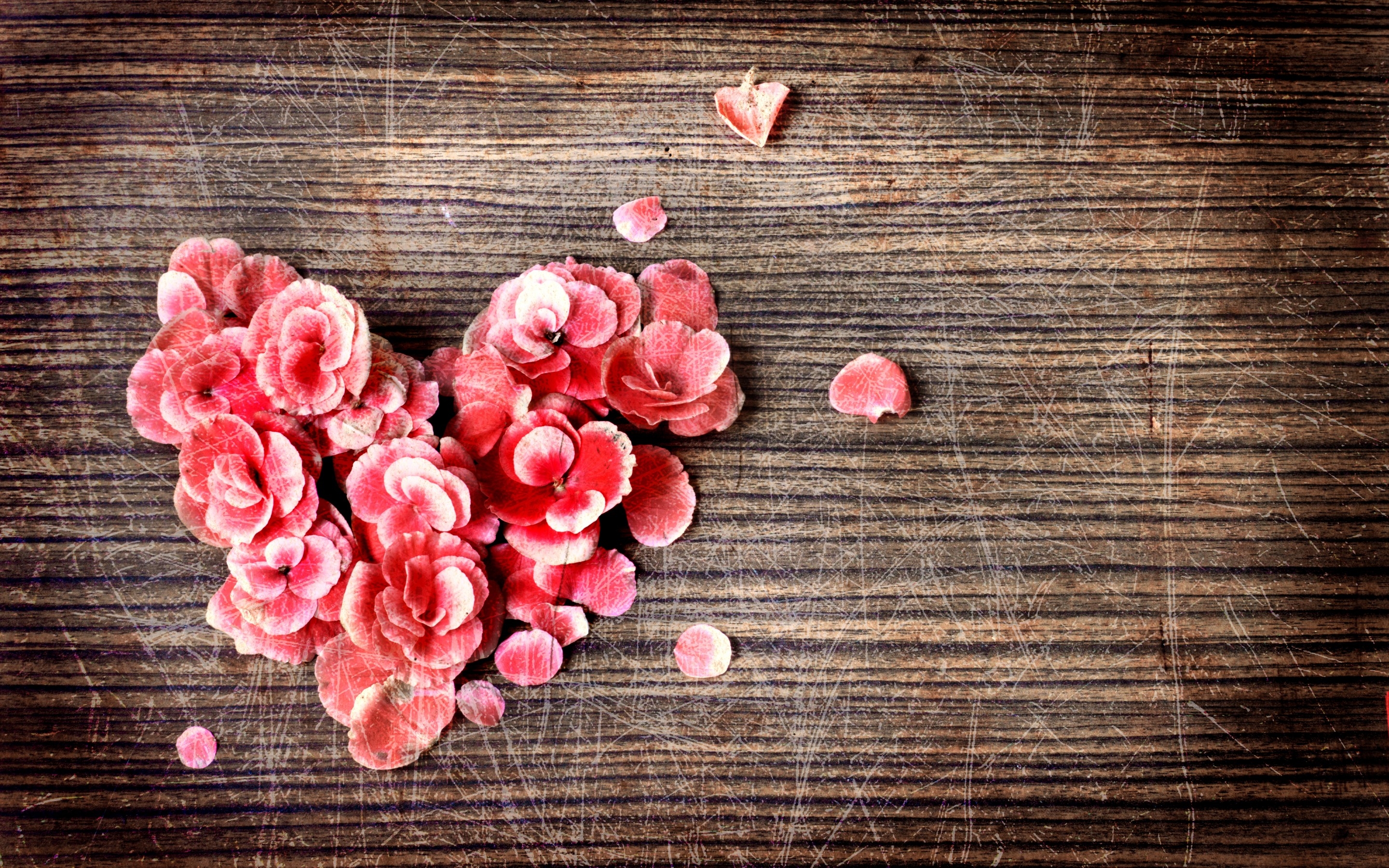 Heart of Rose Petals HD Wallpaper | Background Image ...