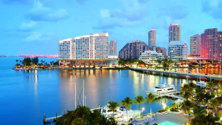 man made Miami HD Desktop Wallpaper | Background Image
