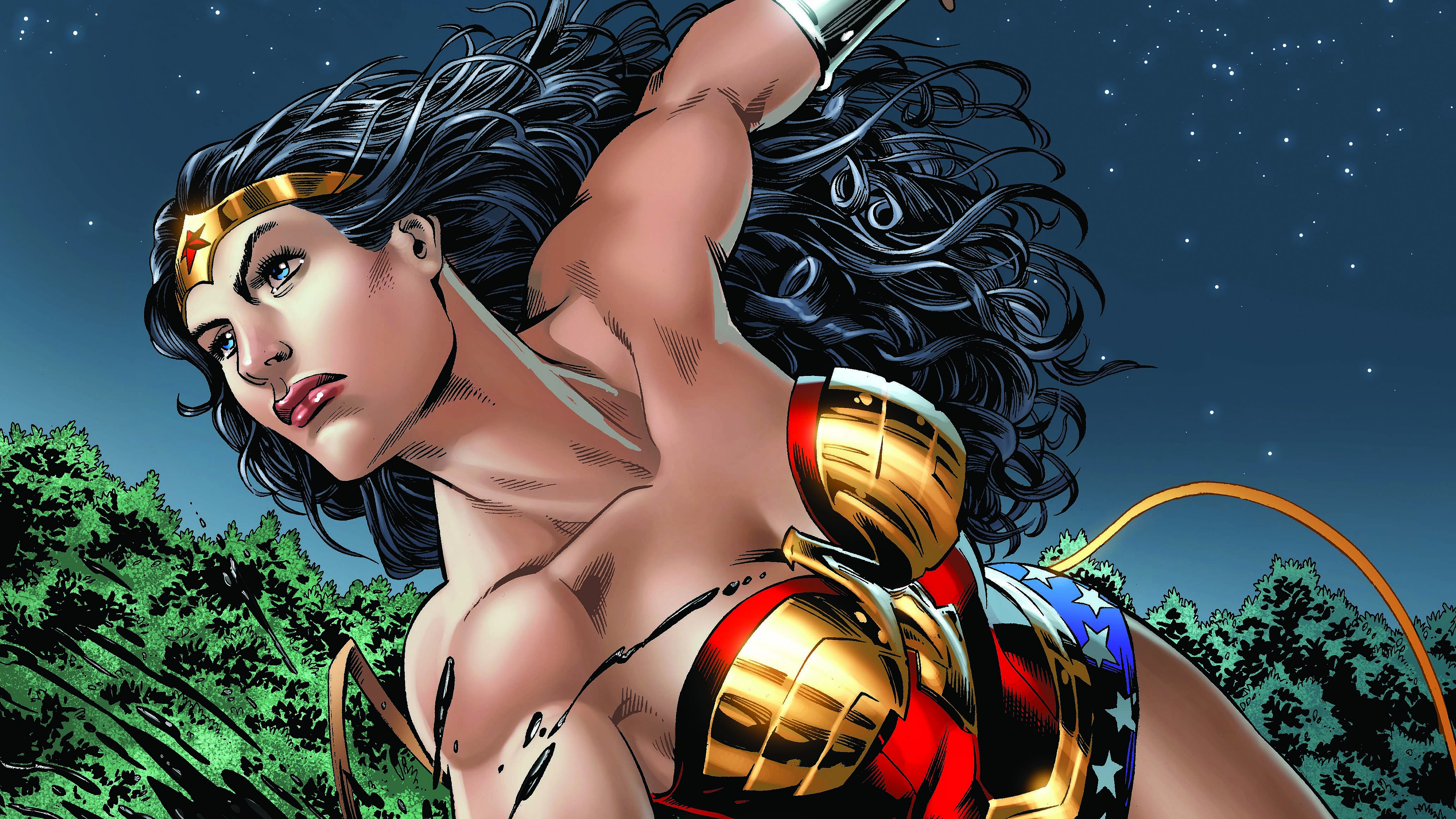 Wonder Woman Art. 