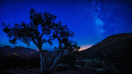 HD desktop wallpaper featuring a sci-fi night sky filled with stars over a silhouette of a tree and mountains.