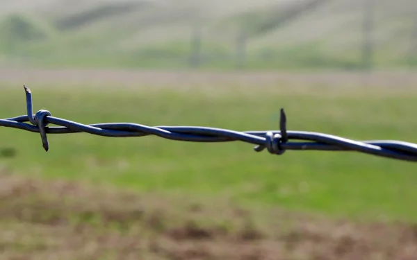  Barbed Wire