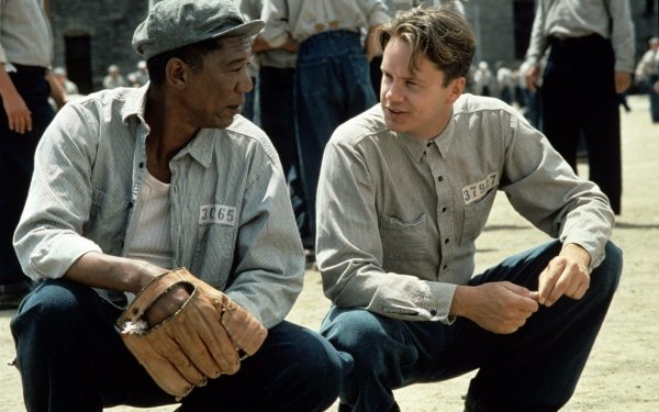 Movie The Shawshank Redemption Andy Dufresne Tim Robbins Ellis Boyd 'Red' Redding Morgan Freeman HD Wallpaper | Background Image