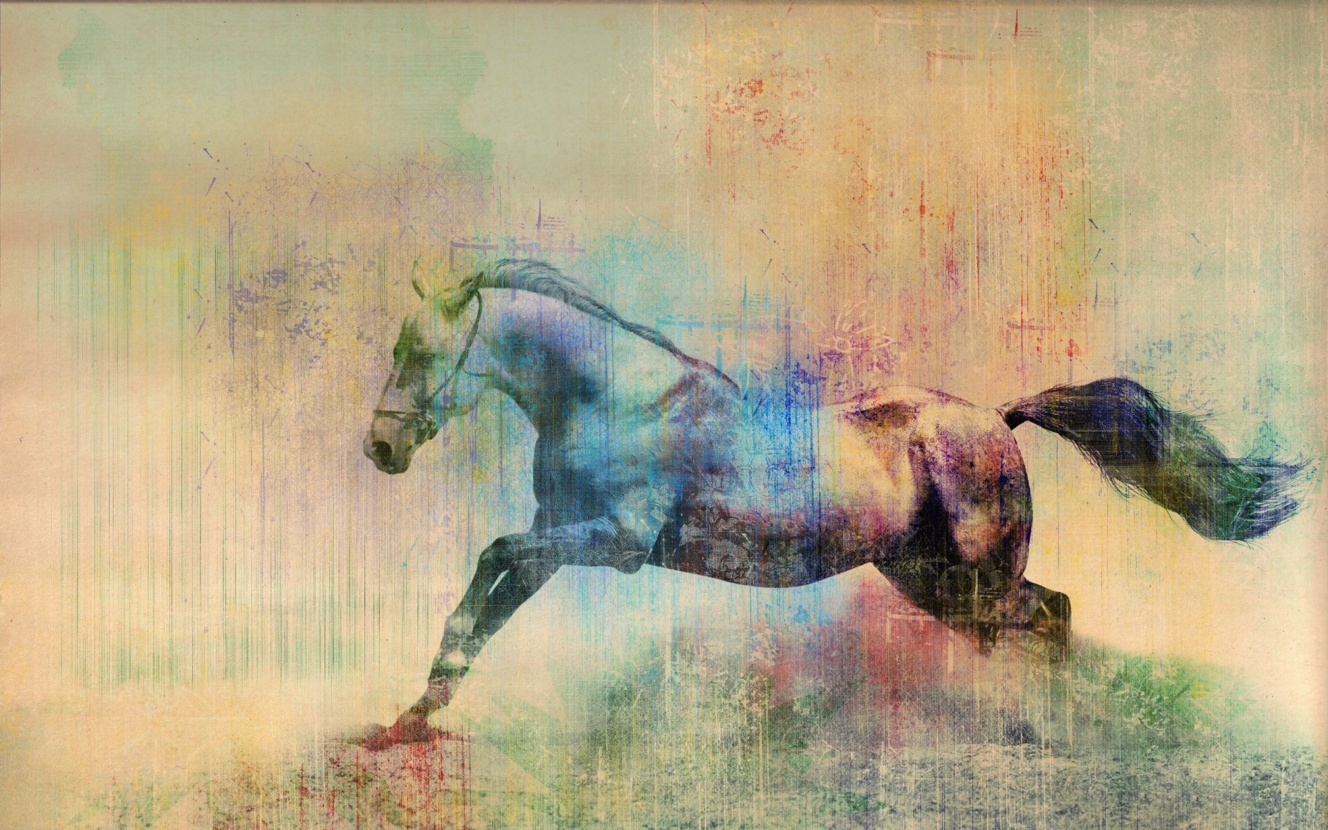 A vibrant HD desktop wallpaper featuring a dynamic horse in motion, set against an abstract, colorful backdrop that adds a sense of energy and movement.