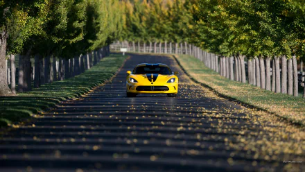 Yellow Dodge SRT Viper GTS centered on a tree-lined road, HD PC desktop wallpaper background with sunlight and fallen leaves.