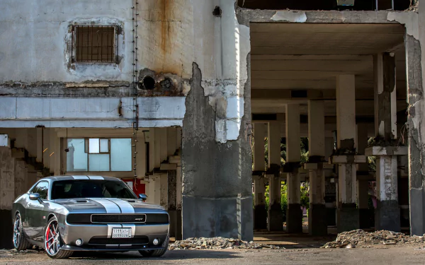 HD PC desktop wallpaper: Dodge Challenger SRT8 muscle vehicle with white racing stripes parked by a weathered industrial building and open concrete pillars.