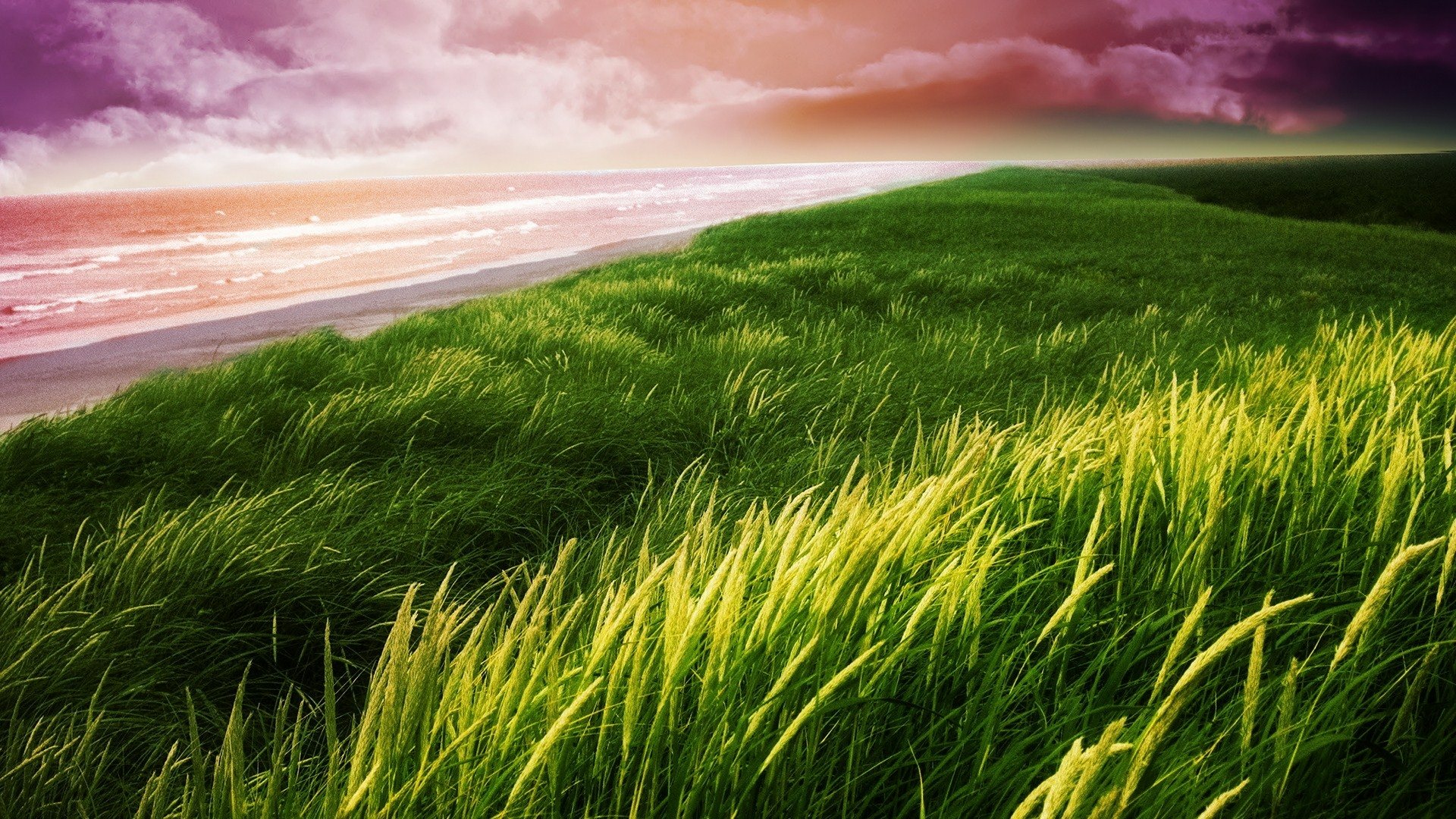 Download Landscape Sea Ocean Coastline Coast Nature Grass HD Wallpaper