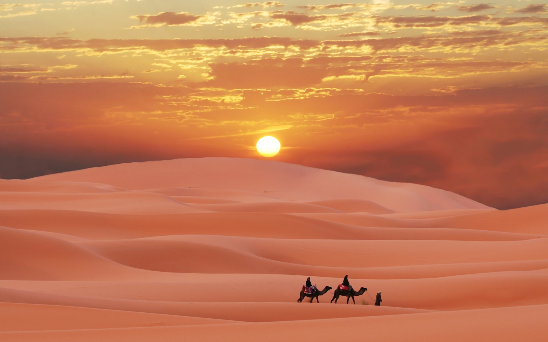 Desert HD Wallpaper | Background Image | 1920x1200