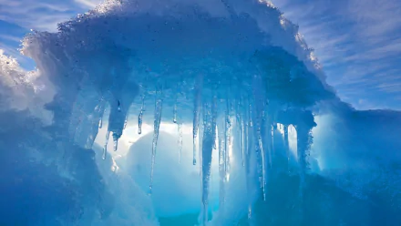 nature ice HD Desktop Wallpaper | Background Image