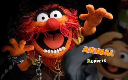 The Muppets (TV Show) TV Show the muppet show HD Desktop Wallpaper | Background Image