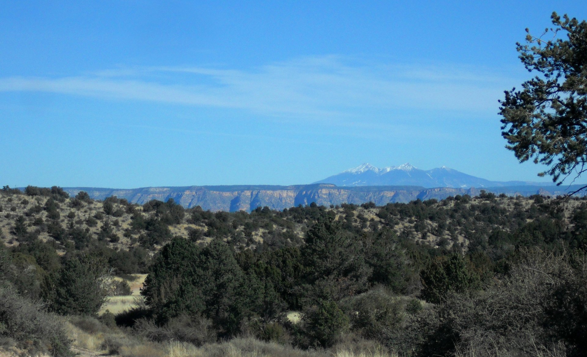 A serene view of the San Francisco Peaks in Arizona, showcasing majestic mountains against a clear blue sky, framed by lush greenery in the foreground.