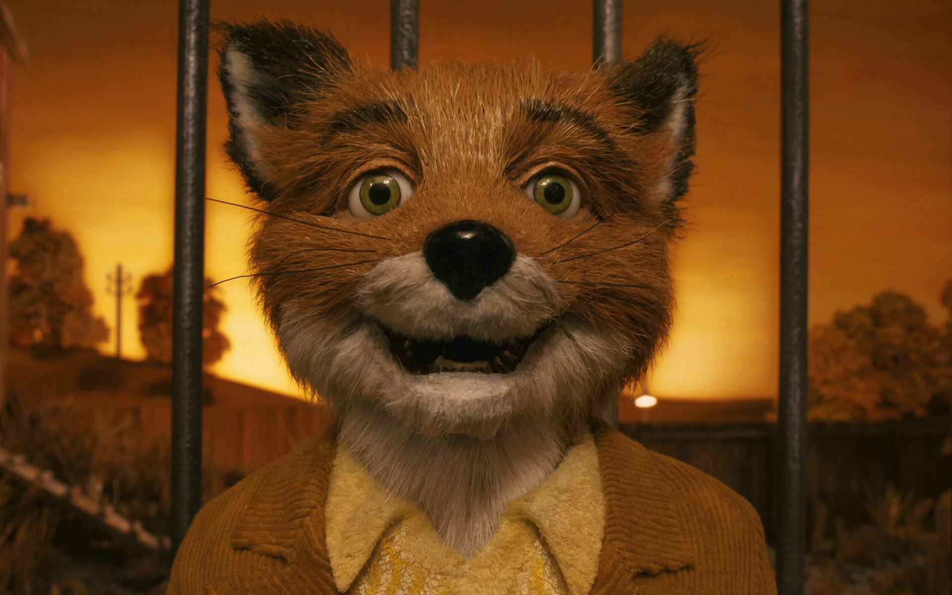 Fantastic Mr Fox Zoom Background