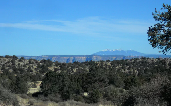A serene view of the San Francisco Peaks in Arizona, showcasing majestic mountains against a clear blue sky, framed by lush greenery in the foreground.