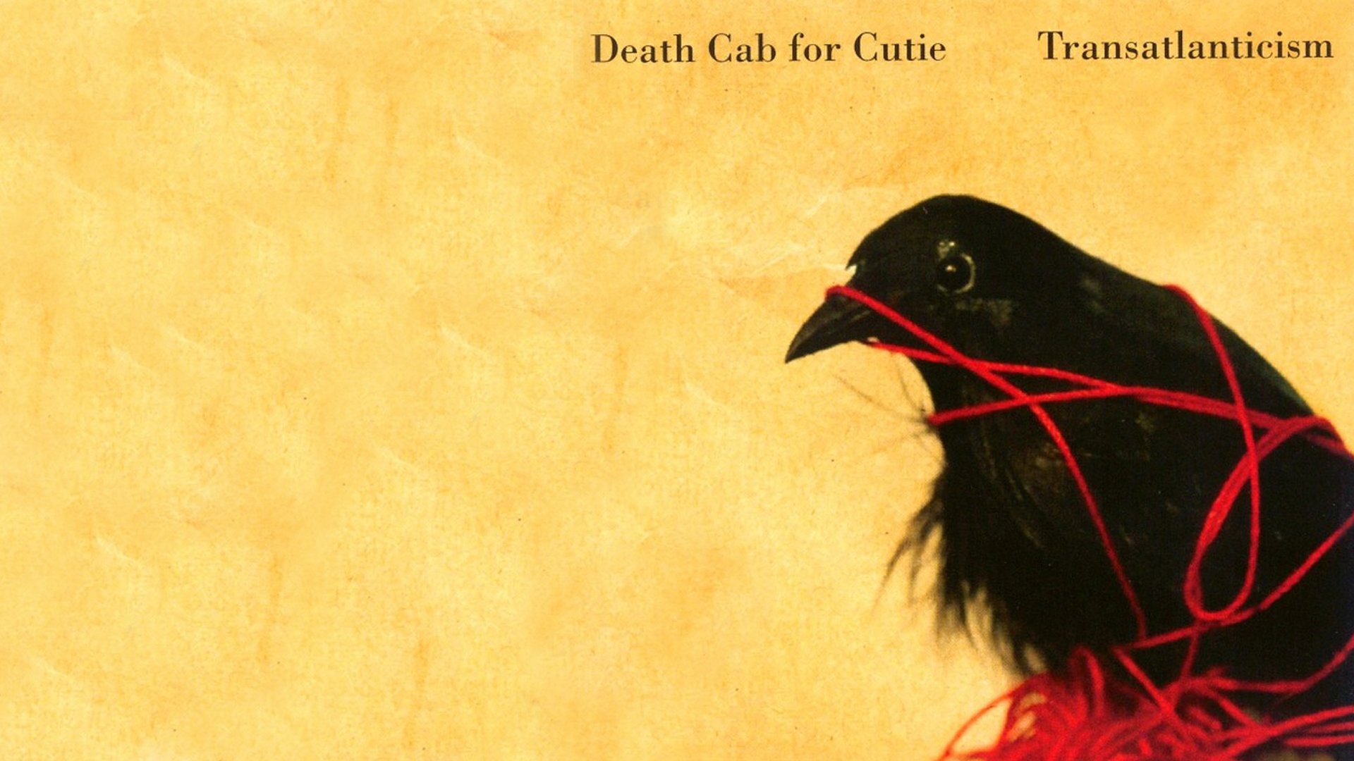 HD desktop wallpaper featuring the Death Cab For Cutie Transatlanticism album cover with a black bird entangled in red thread against a yellow background.