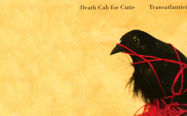 HD desktop wallpaper featuring the Death Cab For Cutie Transatlanticism album cover with a black bird entangled in red thread against a yellow background.