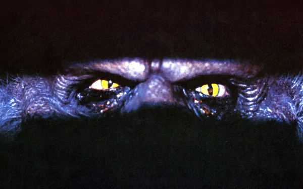 HD PC desktop wallpaper/background — Creepshow movie close-up of glowing yellow eyes staring from a shadowed, blue-tinged face.