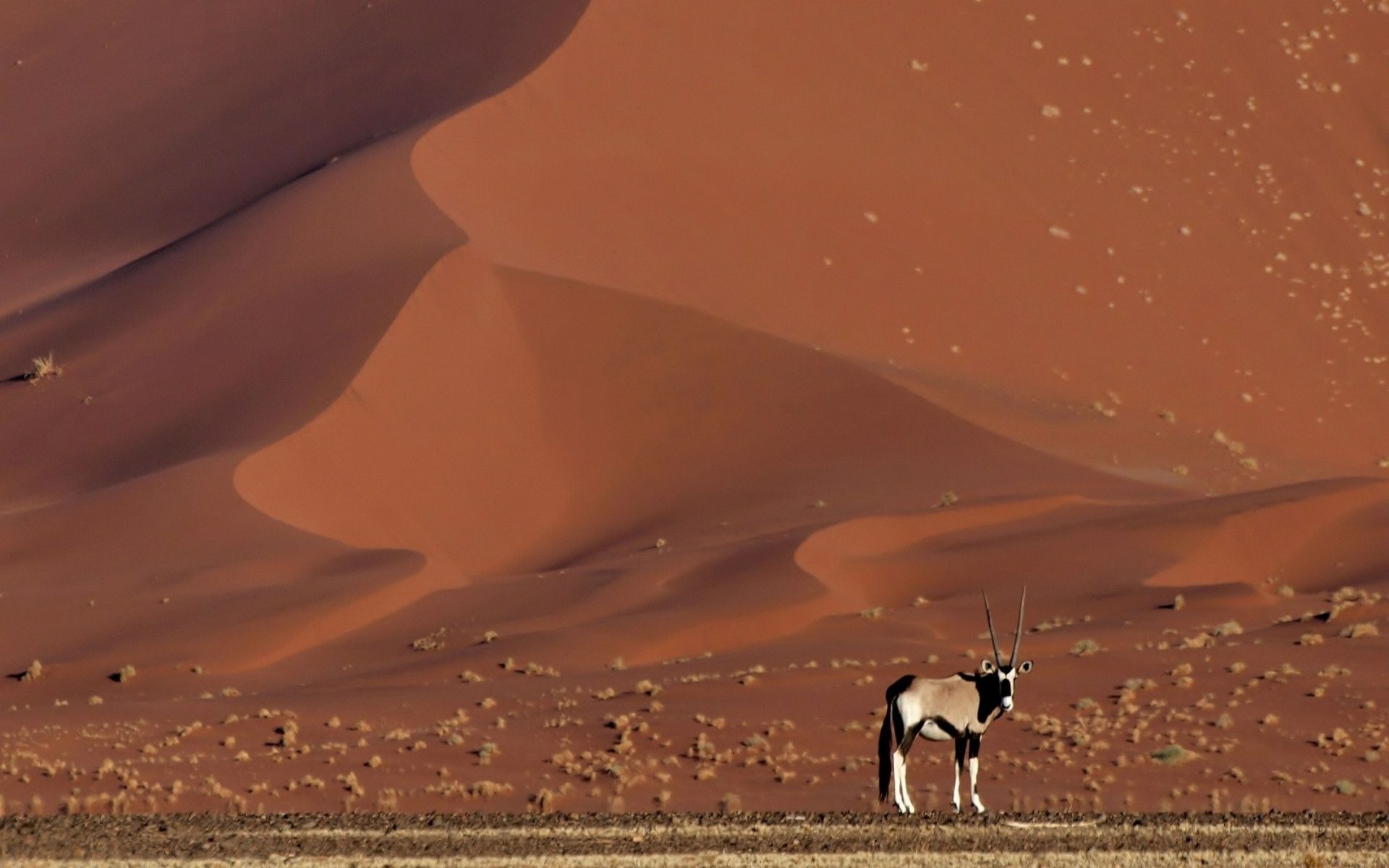 Download Nature Desert HD Wallpaper