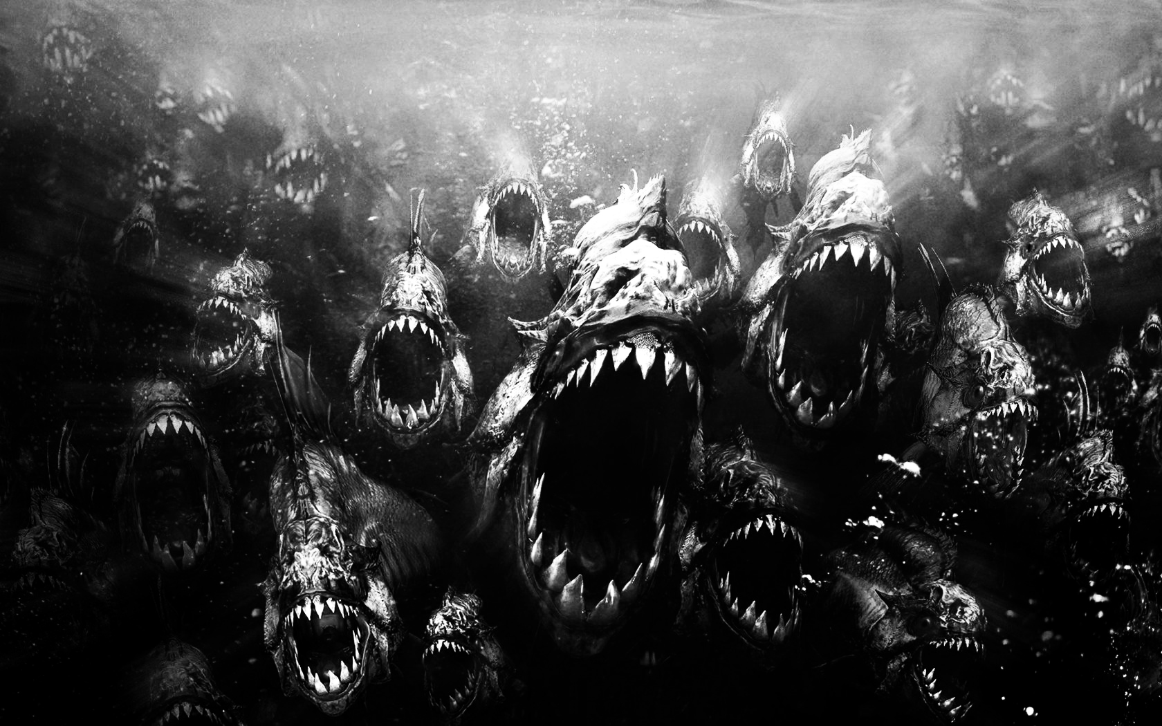 Wallpaper : Piranha, fishes, predator, scales, spangles 4608x3072 - wallup  - 1075695 - HD Wallpapers - WallHere