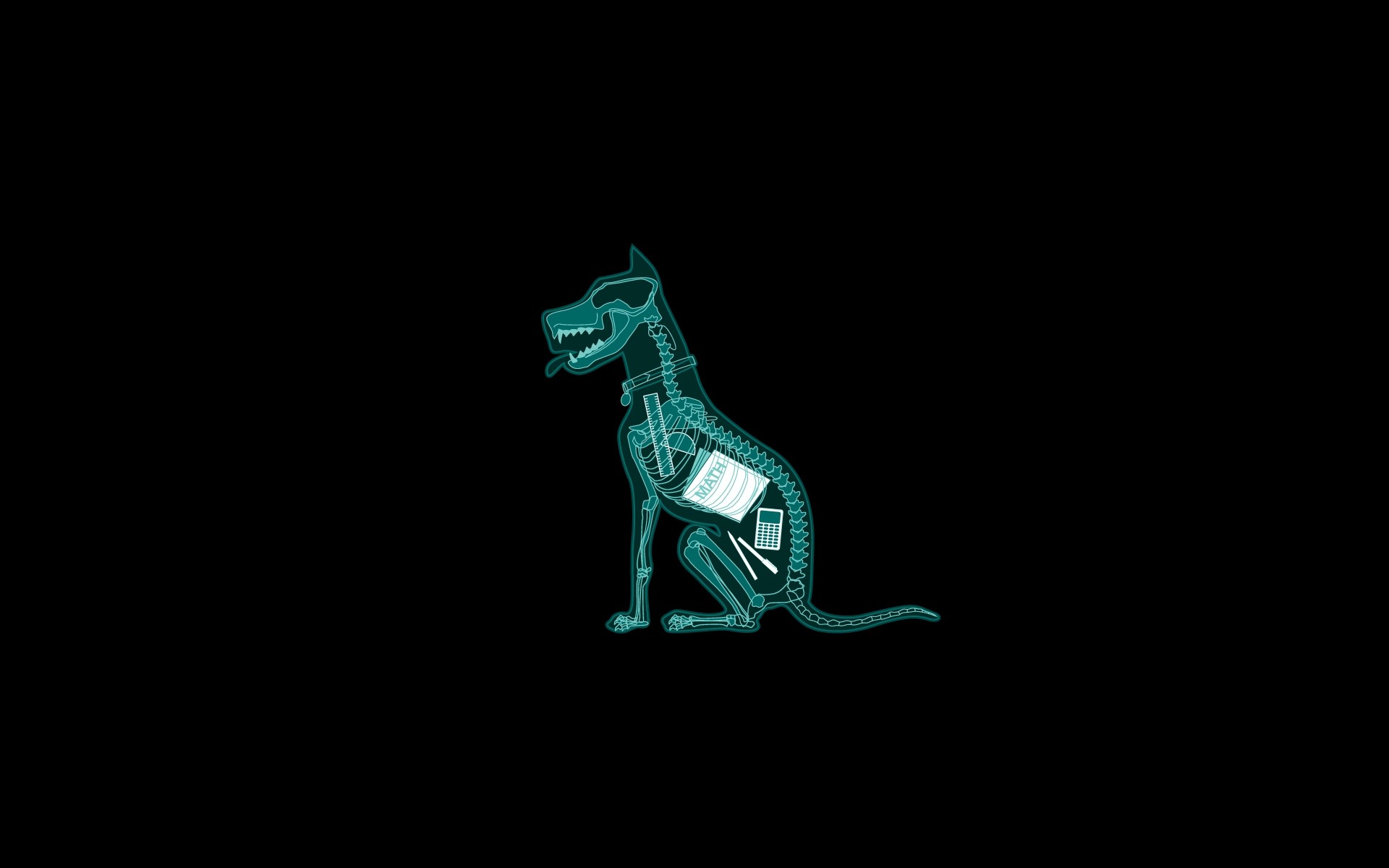 Download Dog Funny Animal HD Wallpaper