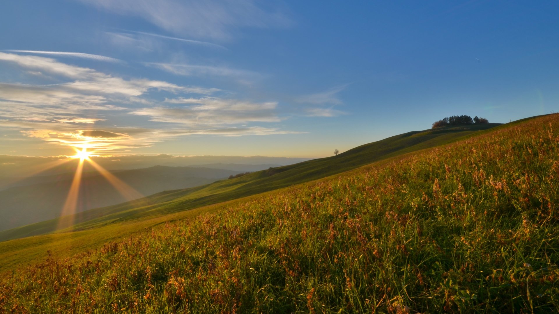 Download Nature Sunset 4k Ultra HD Wallpaper