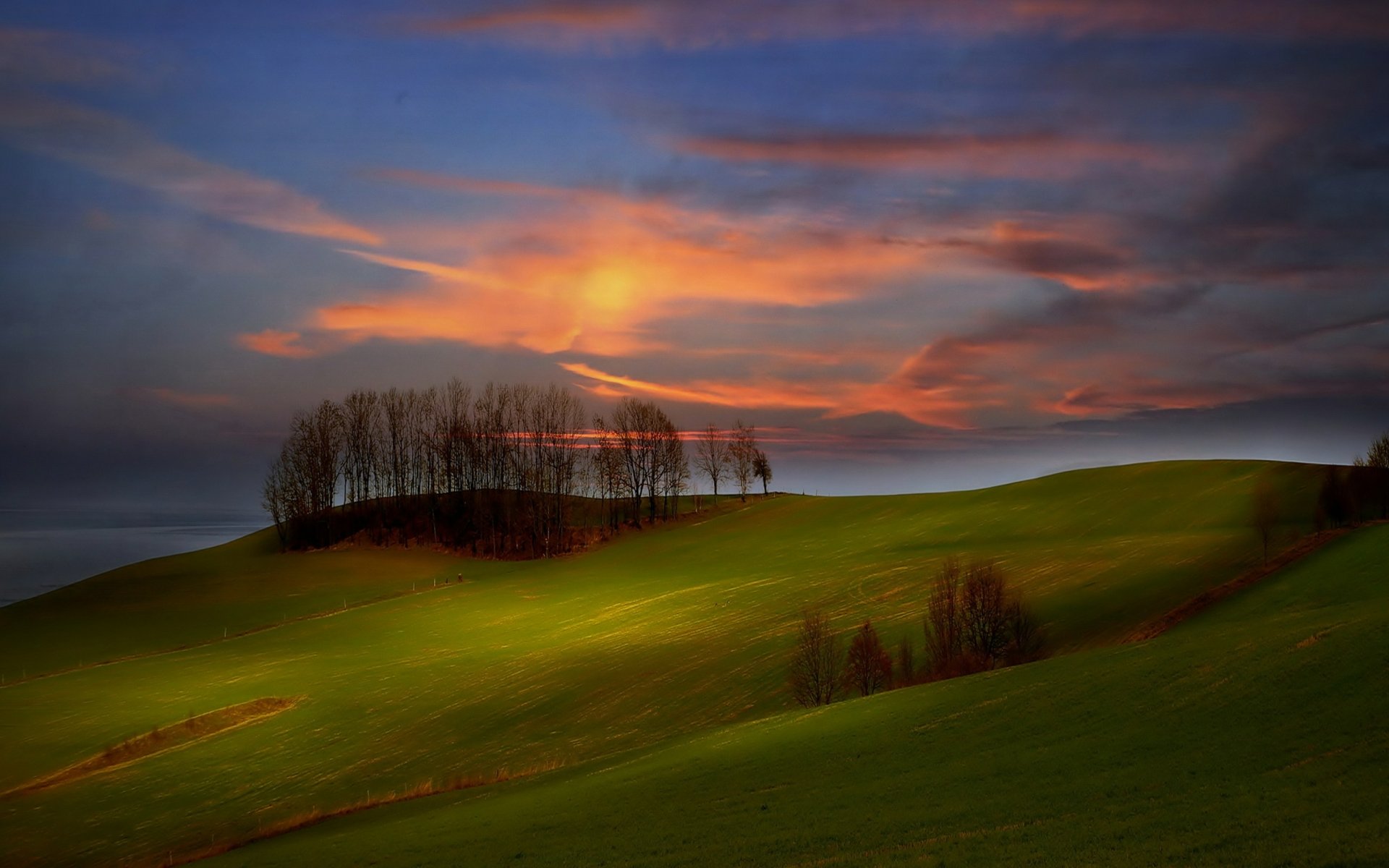 A serene sunrise over rolling green hills, with silhouetted trees against a vibrant sky, creating a stunning nature landscape for your HD desktop wallpaper.