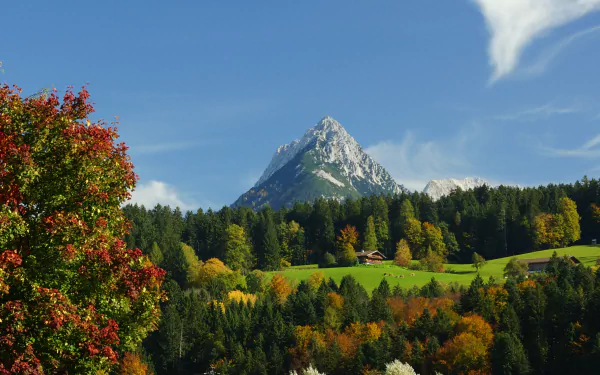 HD wallpaper featuring a vibrant mountain landscape with colorful autumn foliage and a clear blue sky.