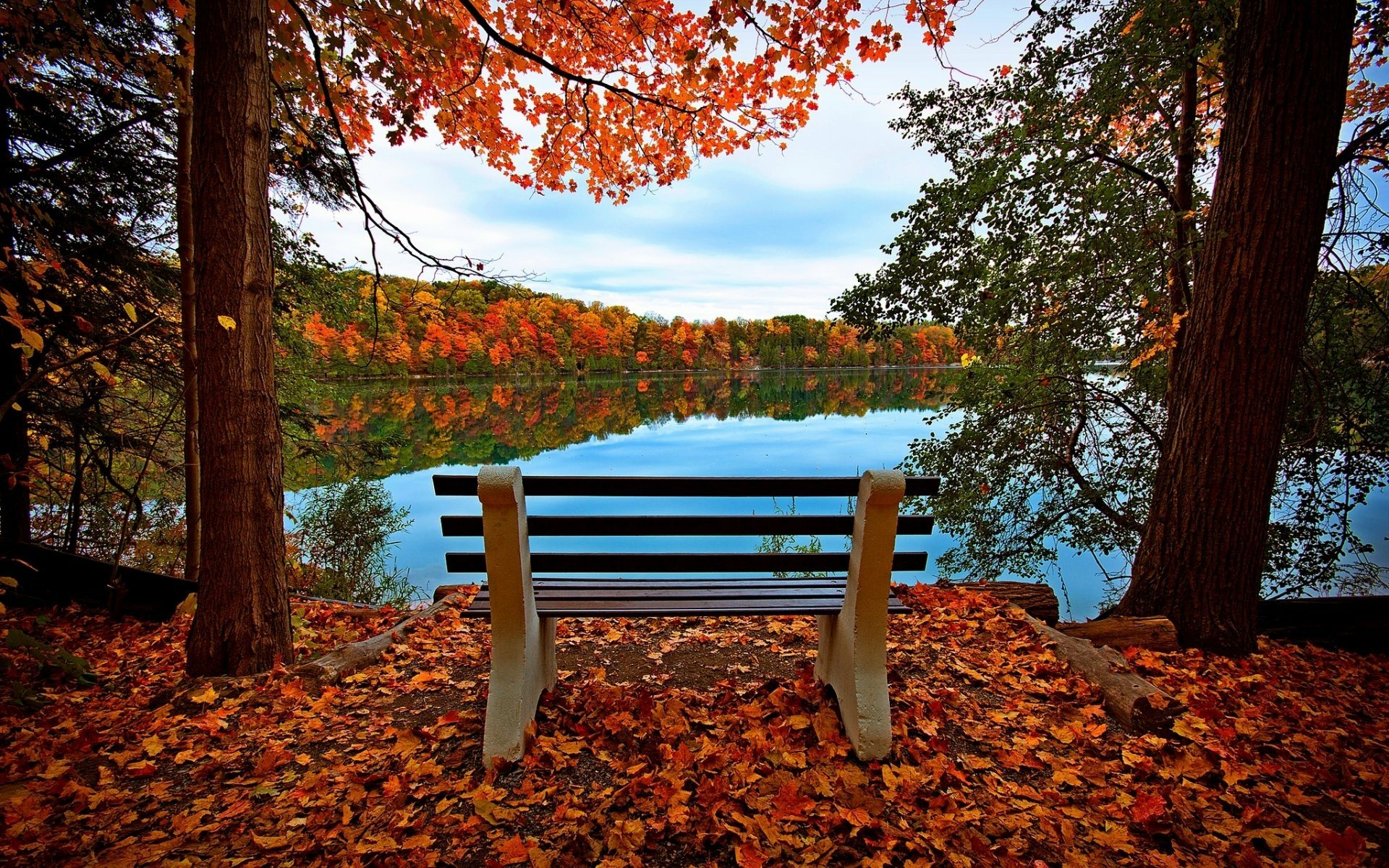 HD PC desktop wallpaper featuring a serene lake surrounded by vibrant autumn foliage with a bench overlooking the water, capturing the beauty of nature.