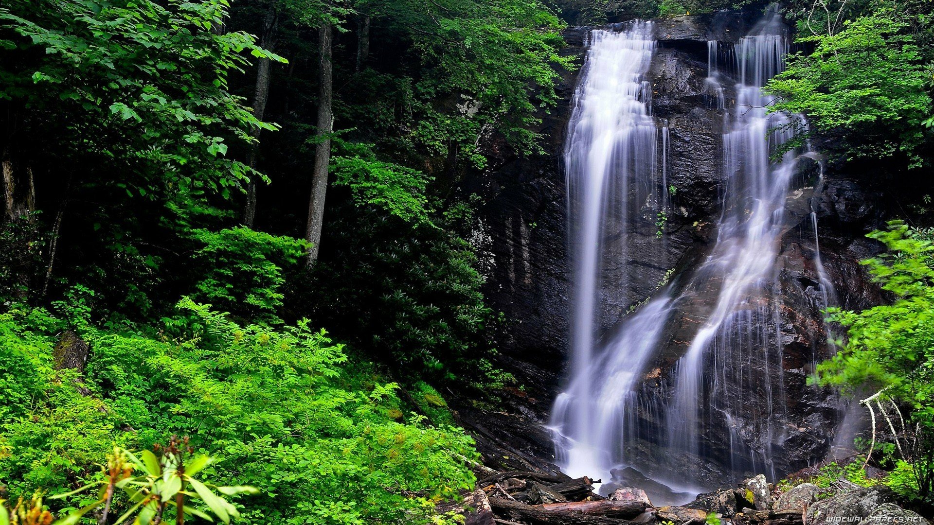 Download Nature Waterfall HD Wallpaper