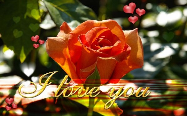 Artistic Love HD Wallpaper | Background Image