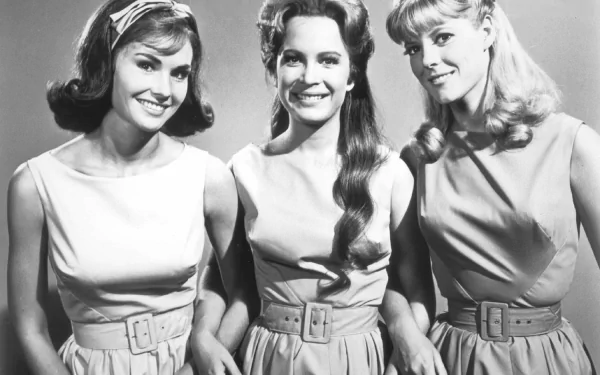 TV Show peticoat junction HD Desktop Wallpaper | Background Image