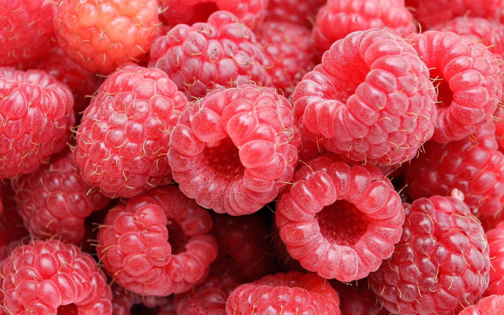 Download Food Raspberry Wallpaper