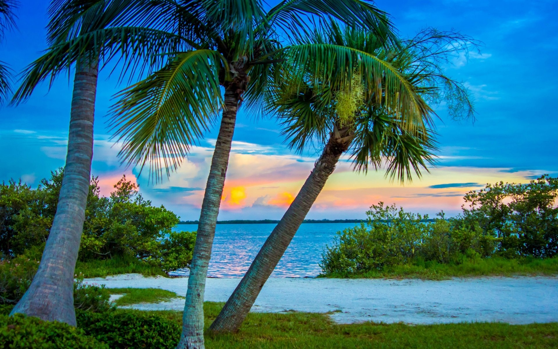 A serene sunset over a tranquil beach, framed by swaying palm trees and lush greenery. This vibrant nature scene makes a stunning HD desktop wallpaper.