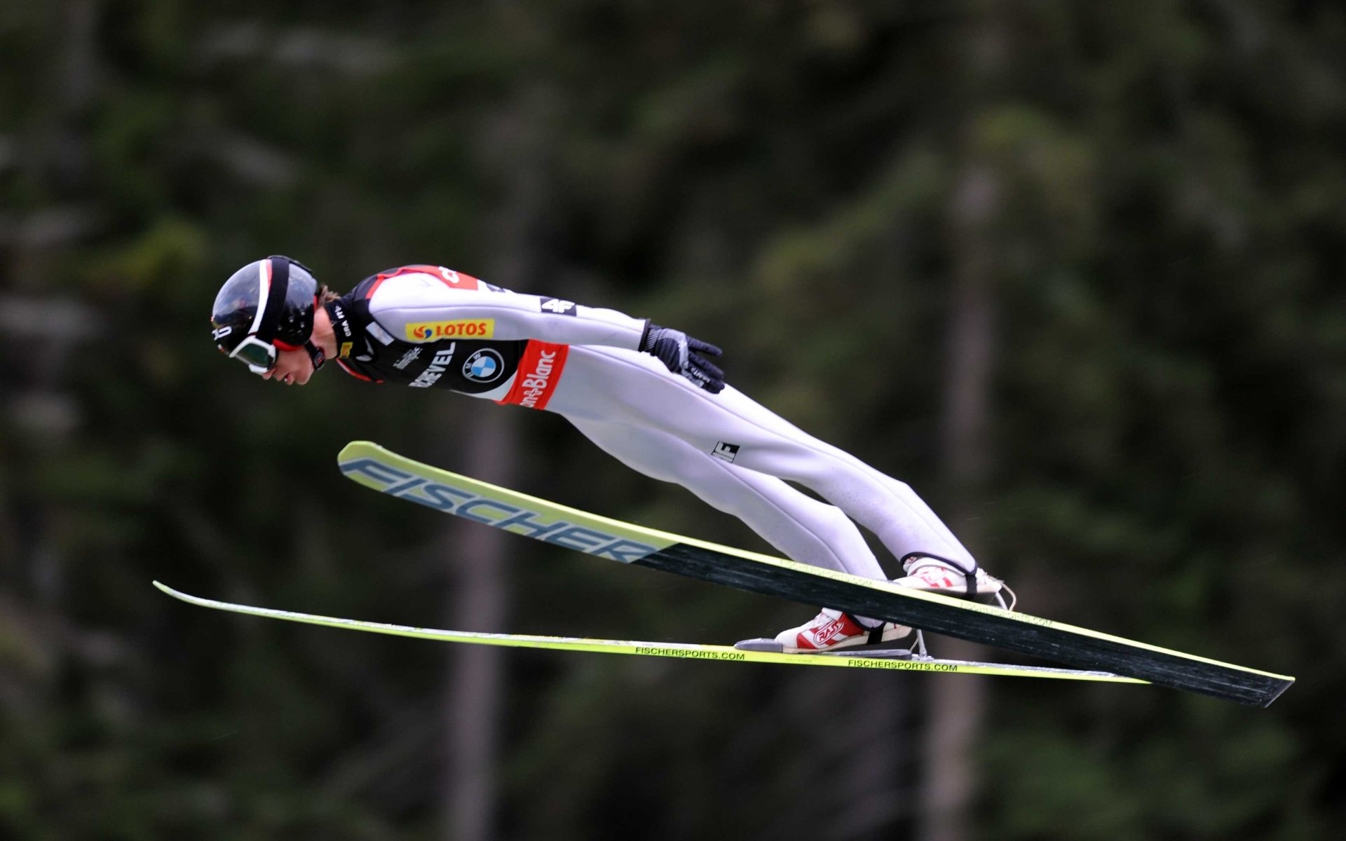 Download Kamil Stoch Sports HD Wallpaper