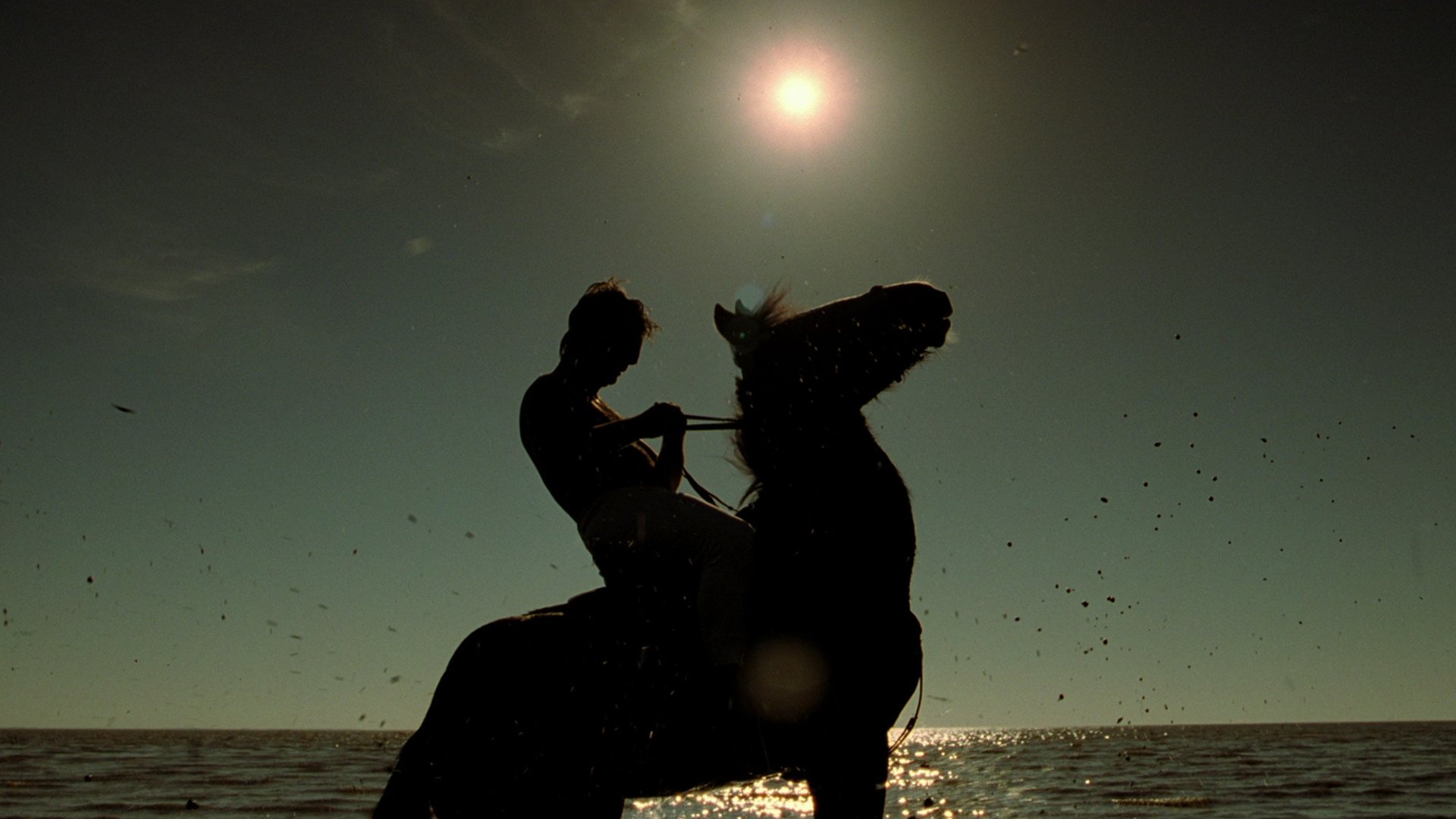 Download Movie The Fall HD Wallpaper