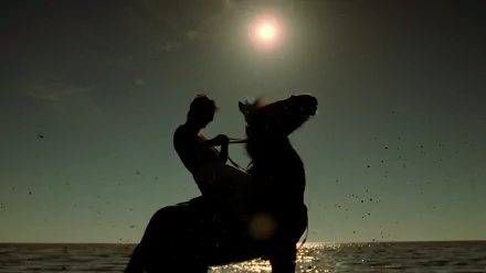 movie the fall HD Desktop Wallpaper | Background Image