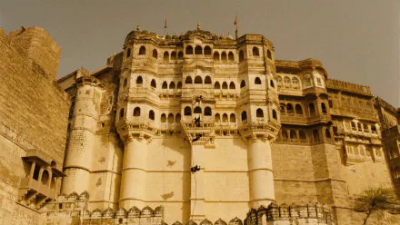 movie the fall HD Desktop Wallpaper | Background Image