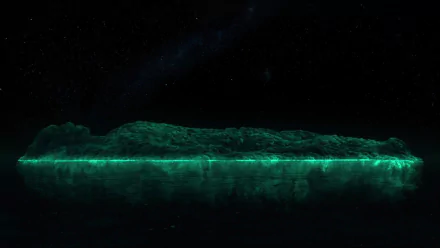 movie Life of Pi HD Desktop Wallpaper | Background Image