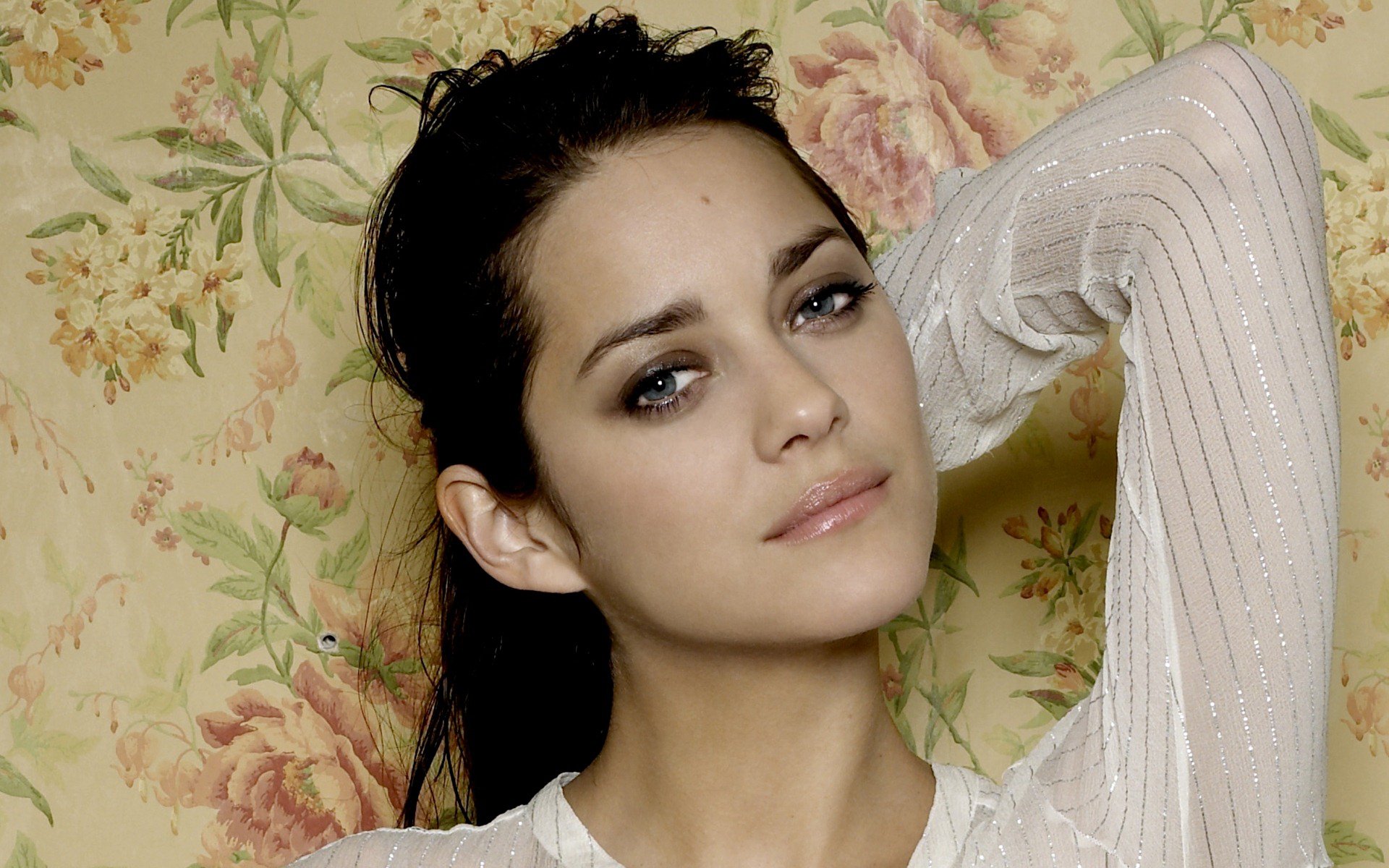 Marion Cotillard HD Wallpaper Hintergrund X ID Wallpaper Abyss