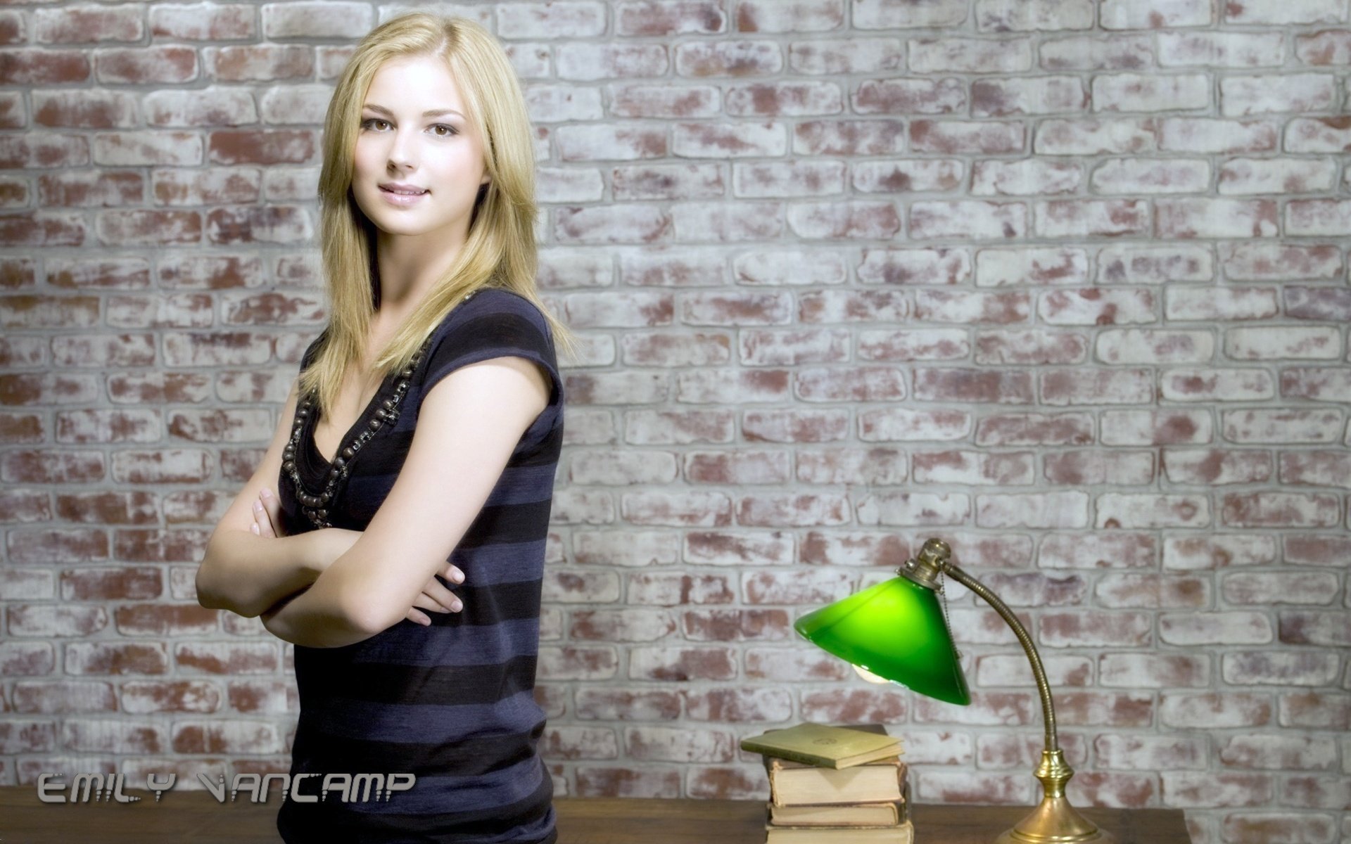 Download Canadian Actress Celebrity Emily Vancamp HD Wallpaper