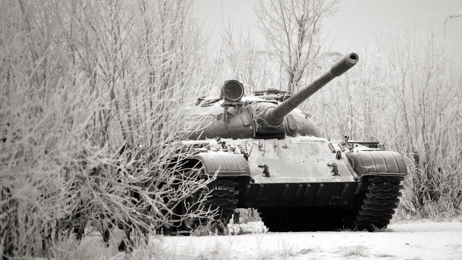 2K Quad HD PC desktop wallpaper: military tank in a snowy, frost-covered forest, front-on view with long barrel and icy tracks.