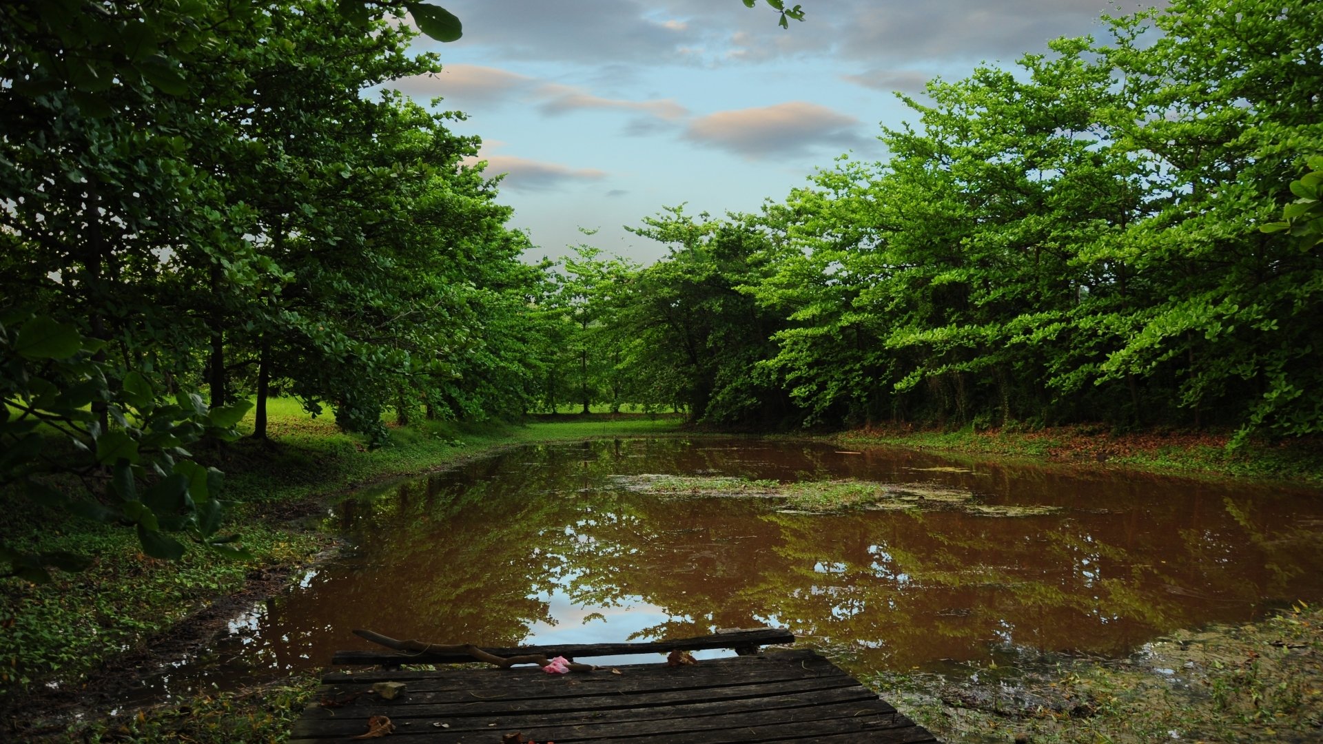 HD PC desktop wallpaper of a tranquil swamp nature scene: weathered wooden dock over muddy water reflecting lush green trees under a cloudy sky.