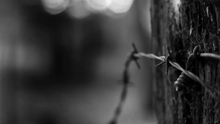 man made barb wire HD Desktop Wallpaper | Background Image