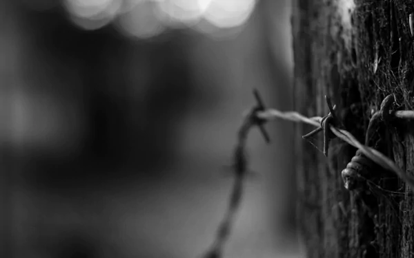 man made barb wire HD Desktop Wallpaper | Background Image