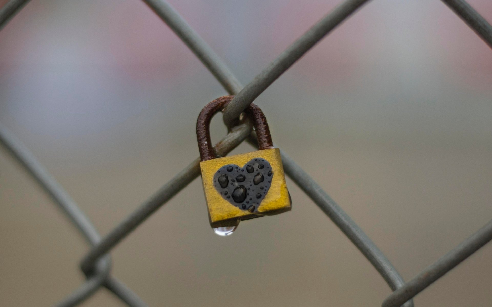 Padlock HD Wallpaper