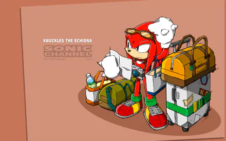 Knuckles the Echidna video game Sonic the Hedgehog HD Desktop Wallpaper | Background Image