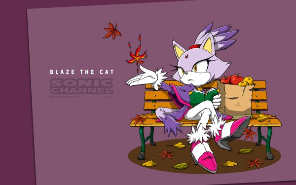 Video Game Sonic the Hedgehog Sonic Blaze the Cat Sonic Channel HD Wallpaper | Background Image