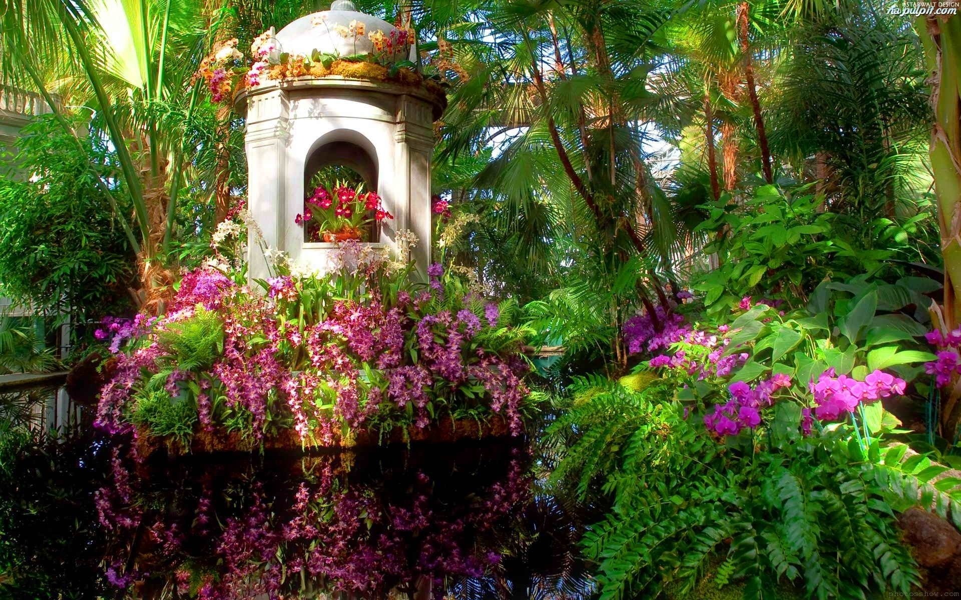 Райский сад с цветами