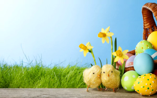 4K Ultra HD Easter holiday wallpaper featuring two fluffy chicks, colorful decorated eggs in a basket, yellow daffodils, and fresh green grass under a clear blue sky.